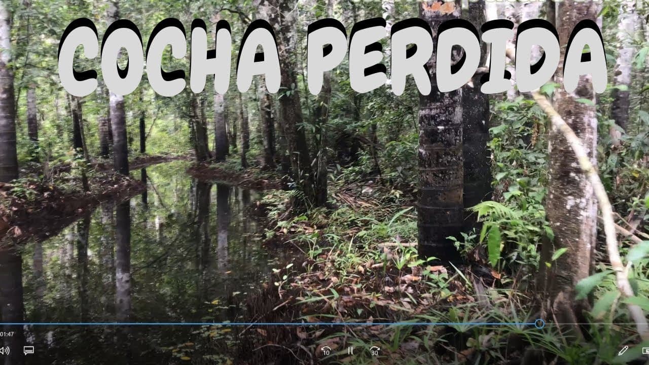 caminata familia cocha perdida