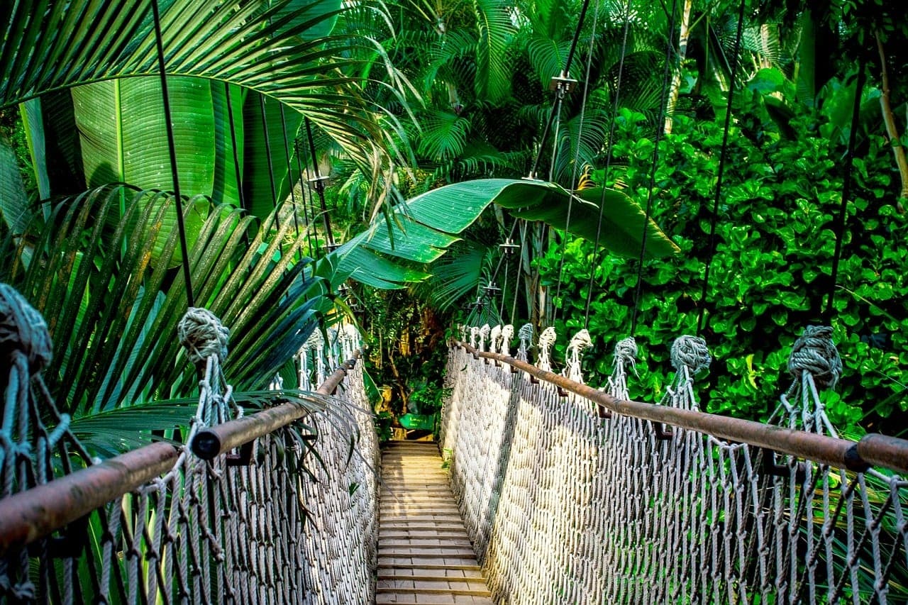 Retiro Andino – foto 2